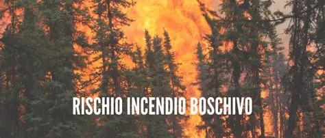 Immagine principale