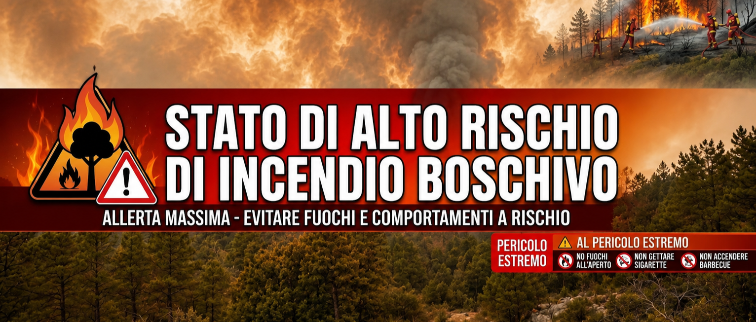 Dichiarazione di stato di alto rischio di incendio boschivo 🔥