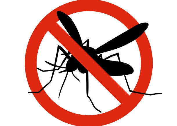 Avviso ai cittadini - Disinfestazione aree verdi pubbliche - Mercoledì 26 Agosto 2026 dalle ore 01.00 alle ore 06.00