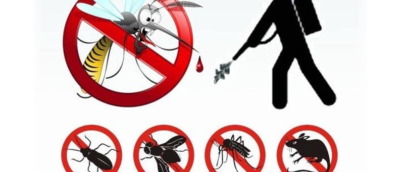 Avviso disinfestazione