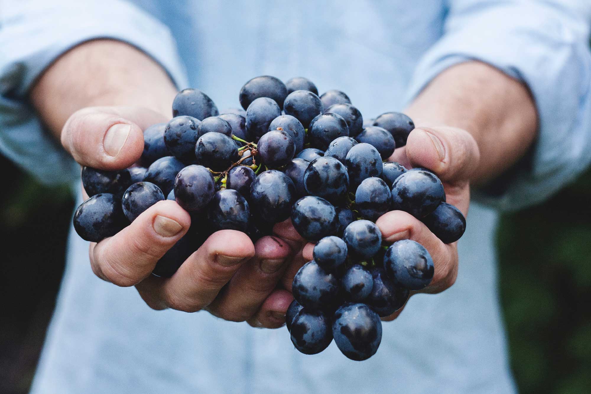 Degustazioni Affettuose - Storie e territorio da gustare giovedì 13 agosto ore 17:30