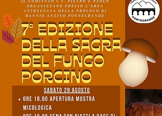 Immagine non trovata