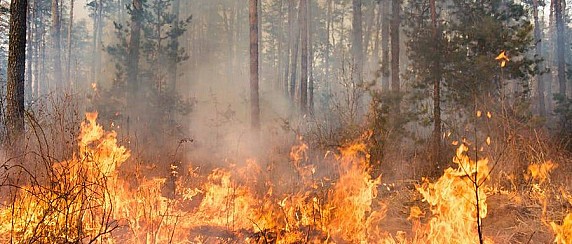 Regione Lombardia dichiara lo stato di alto rischio di incendio boschivo su tutto il territorio regionale