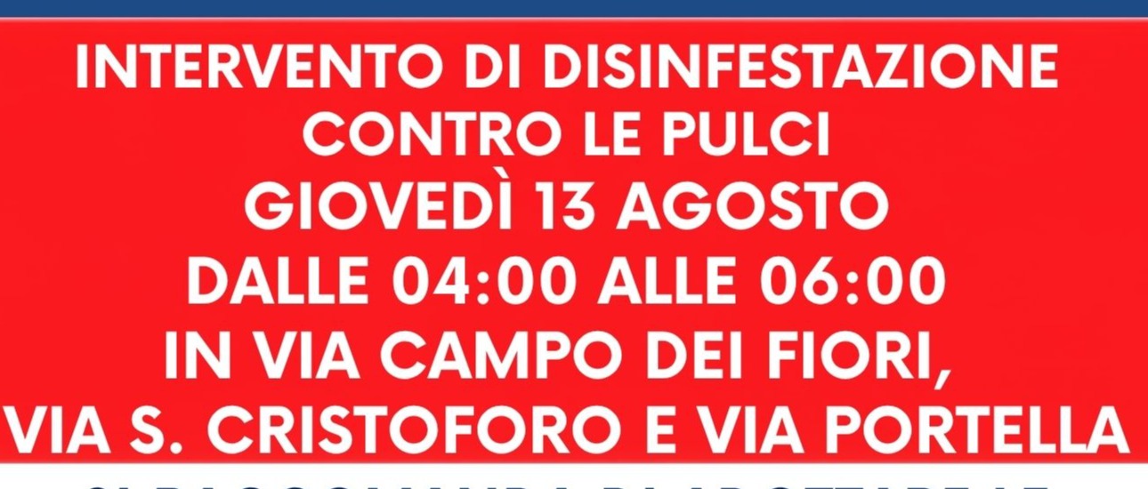 Immagine principale