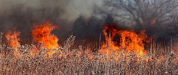 Alto rischio di incendio boschivo in tutta la Lombardia: le disposizioni della Regione