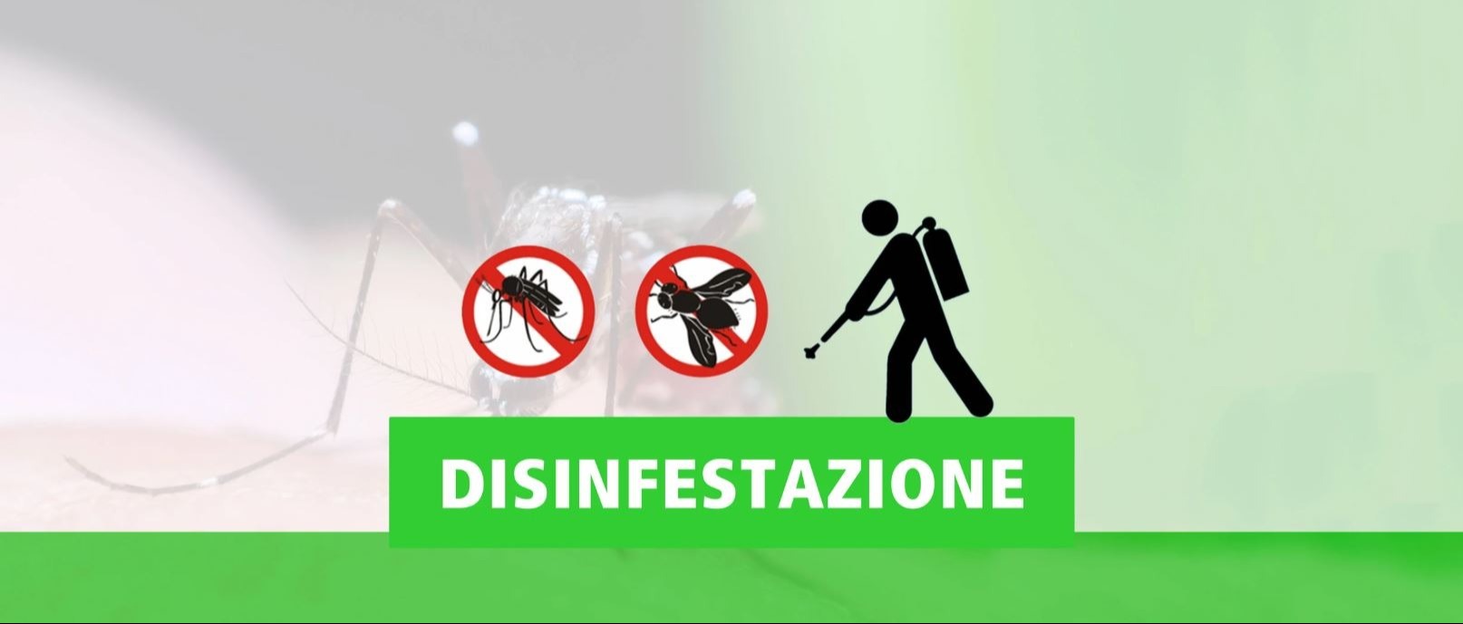 Immagine principale