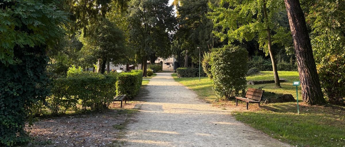 Immagine principale
