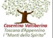 Manifestazioni di interesse Strategia Aree Interne casentino-Valtiberina. Scheda 1.9 e 2.6