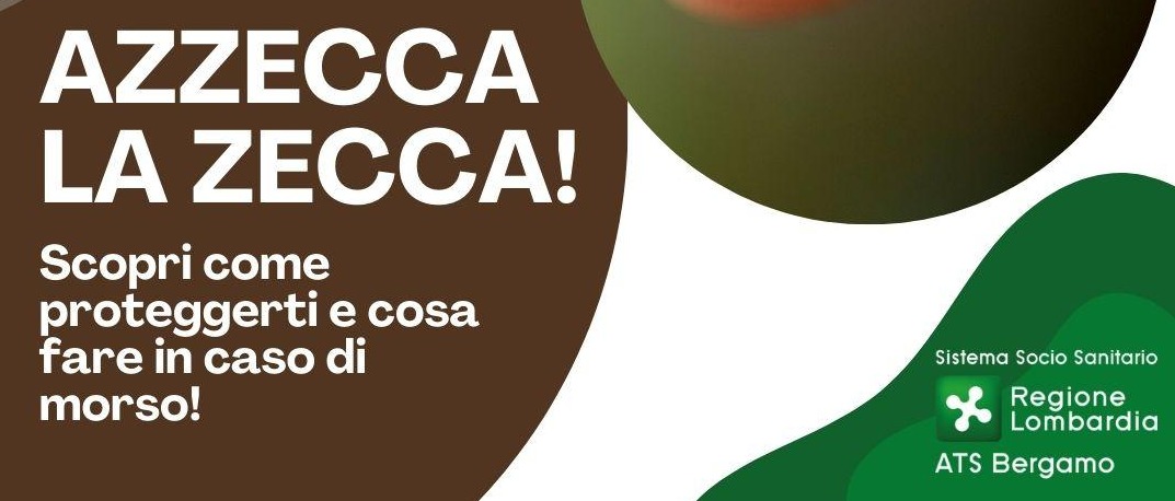 Immagine principale