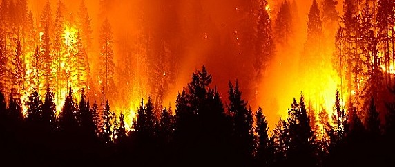 Dichiarazione dello stato di massima pericolosità per incendi boschivi su tutto il territorio della Regione Piemonte . Divieto accensione fuochi
