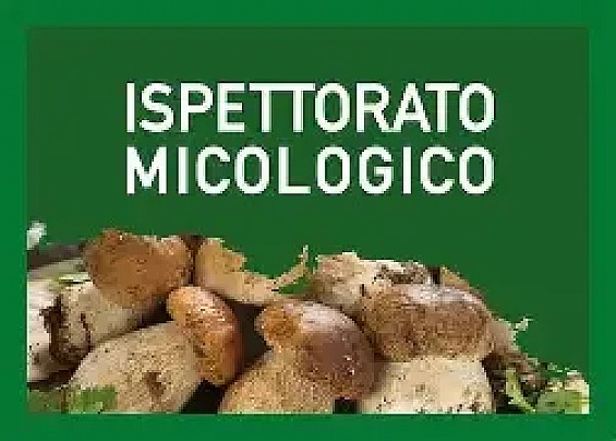 Prevenzione delle intossicazioni da funghi.