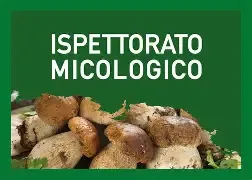 Prevenzione delle intossicazioni da funghi.