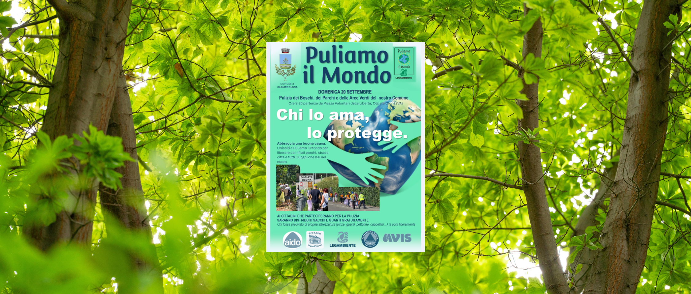 Immagine principale