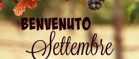 Immagine principale