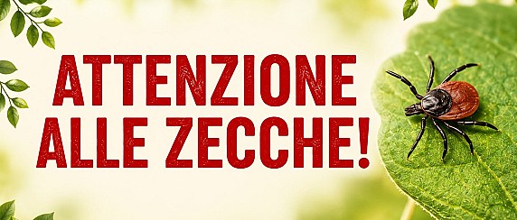 Attenzione alle zecche!
