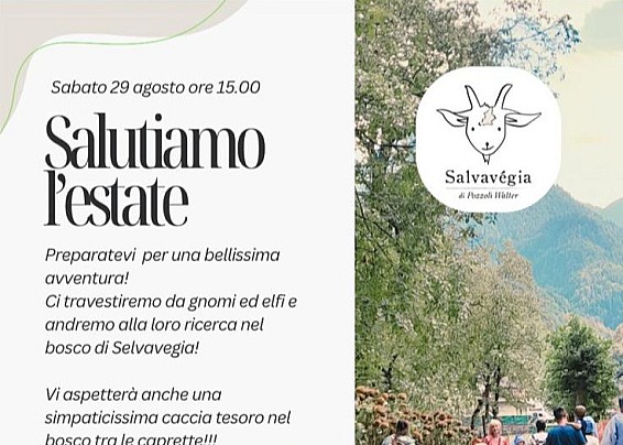 Immagine non trovata