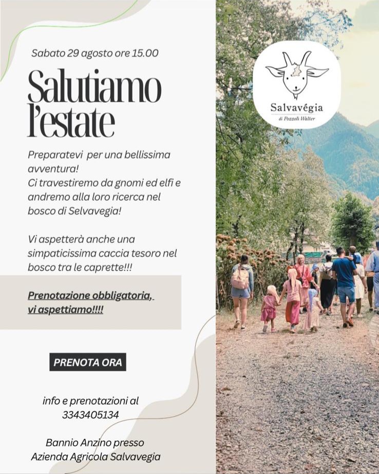 08-29 saluto estate 