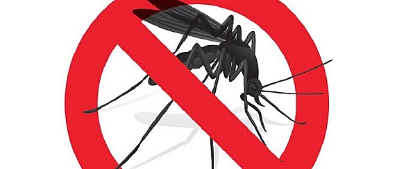 Disinfestazione adulticida zanzare