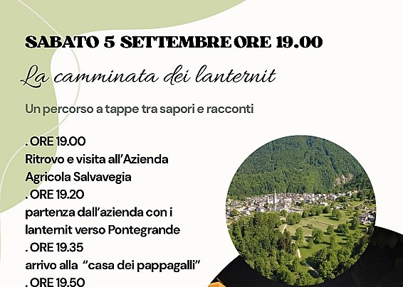 Immagine non trovata