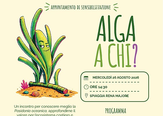 Immagine non trovata