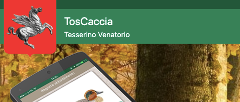 Immagine principale