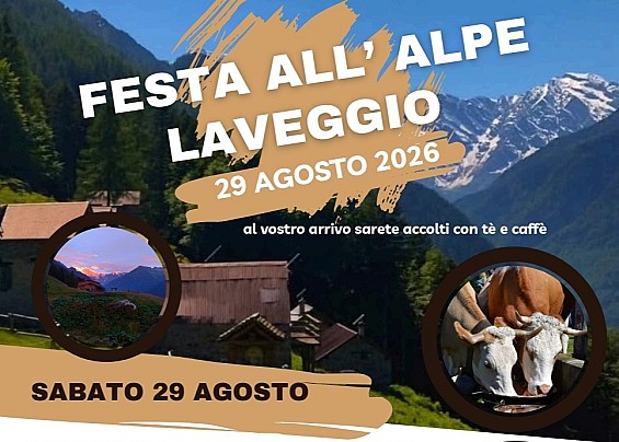 Immagine non trovata