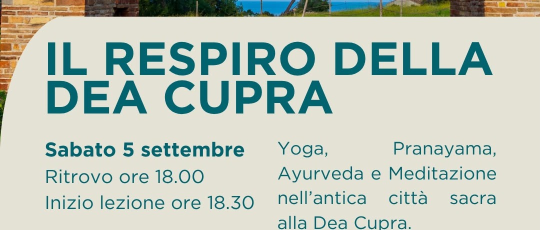 Immagine principale