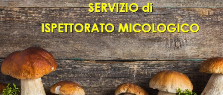 Immagine principale