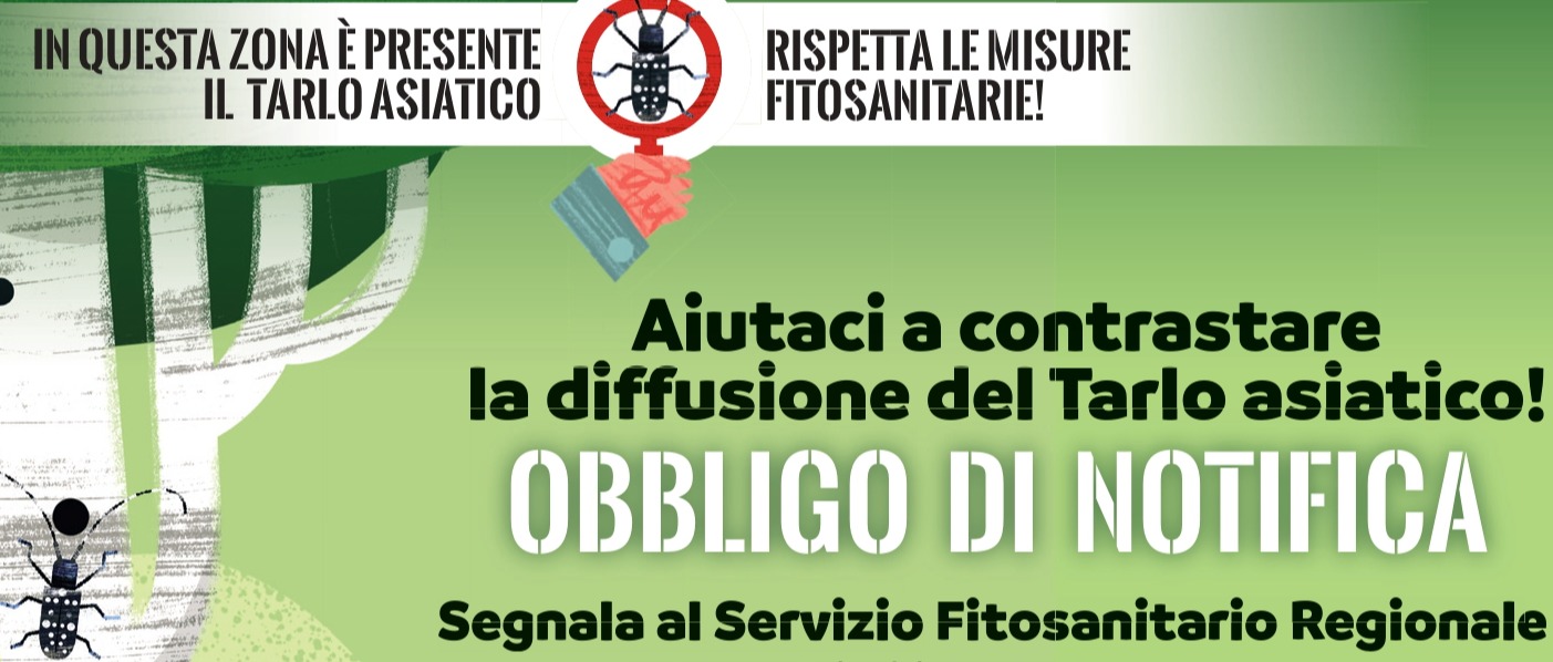 Immagine principale