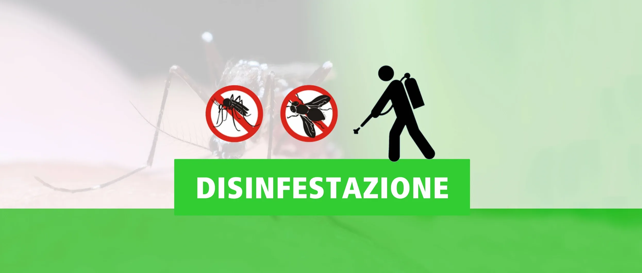 Immagine principale