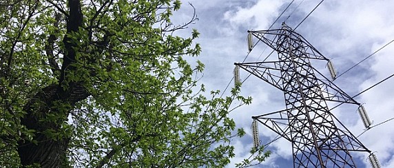 Taglio piante in prossimità di linee elettriche aeree in alta tensione