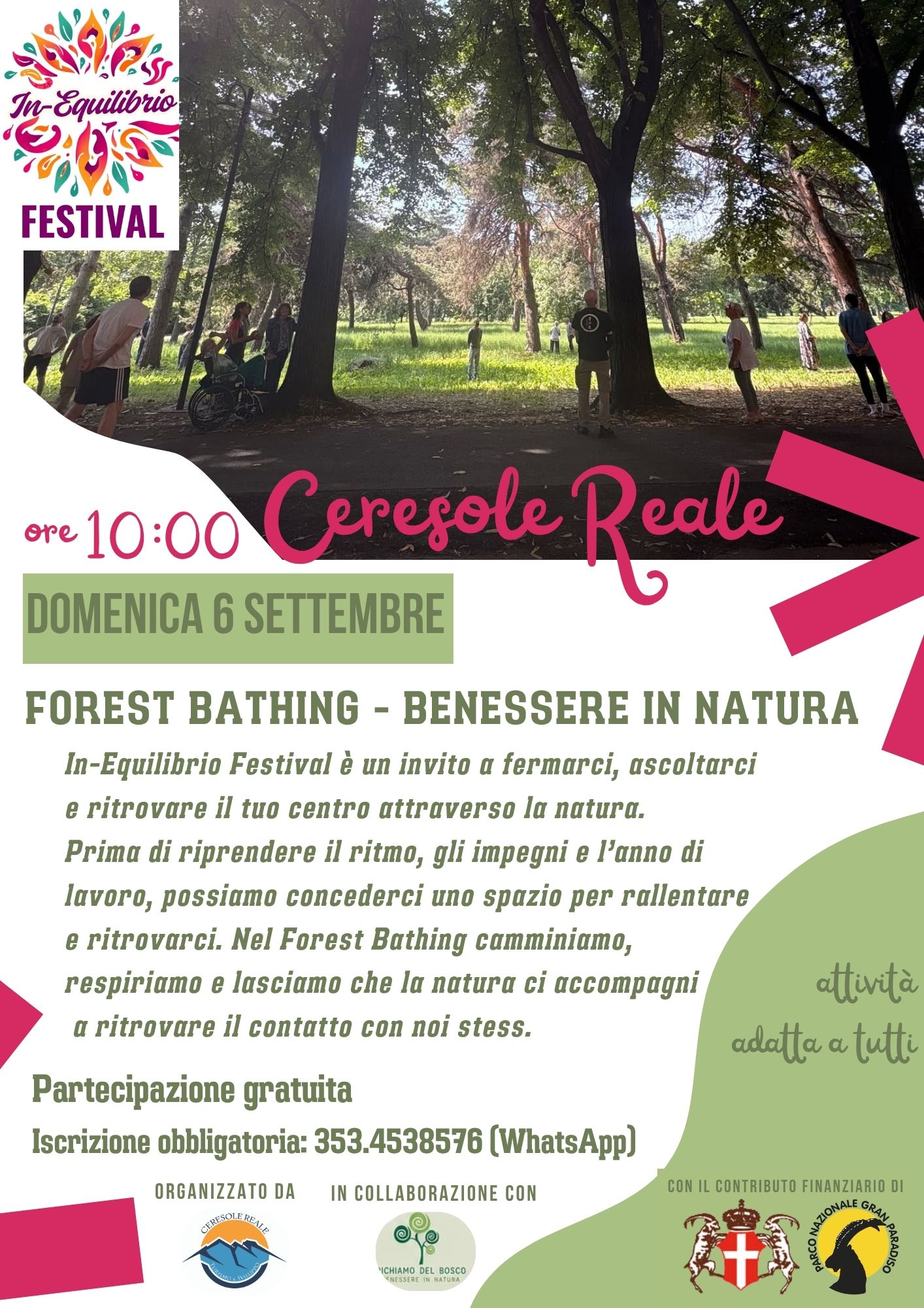 forest bathing def