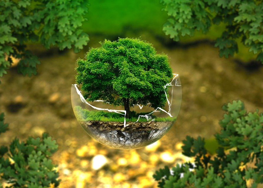 Immagine principale