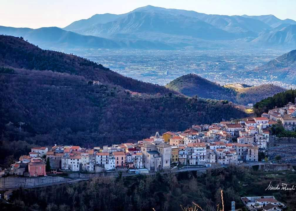 Immagine principale
