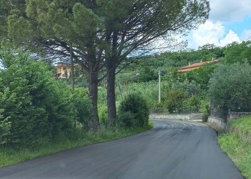 Immagine principale
