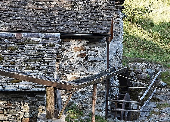 Immagine non trovata