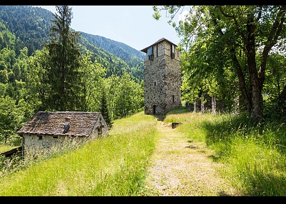 Immagine non trovata
