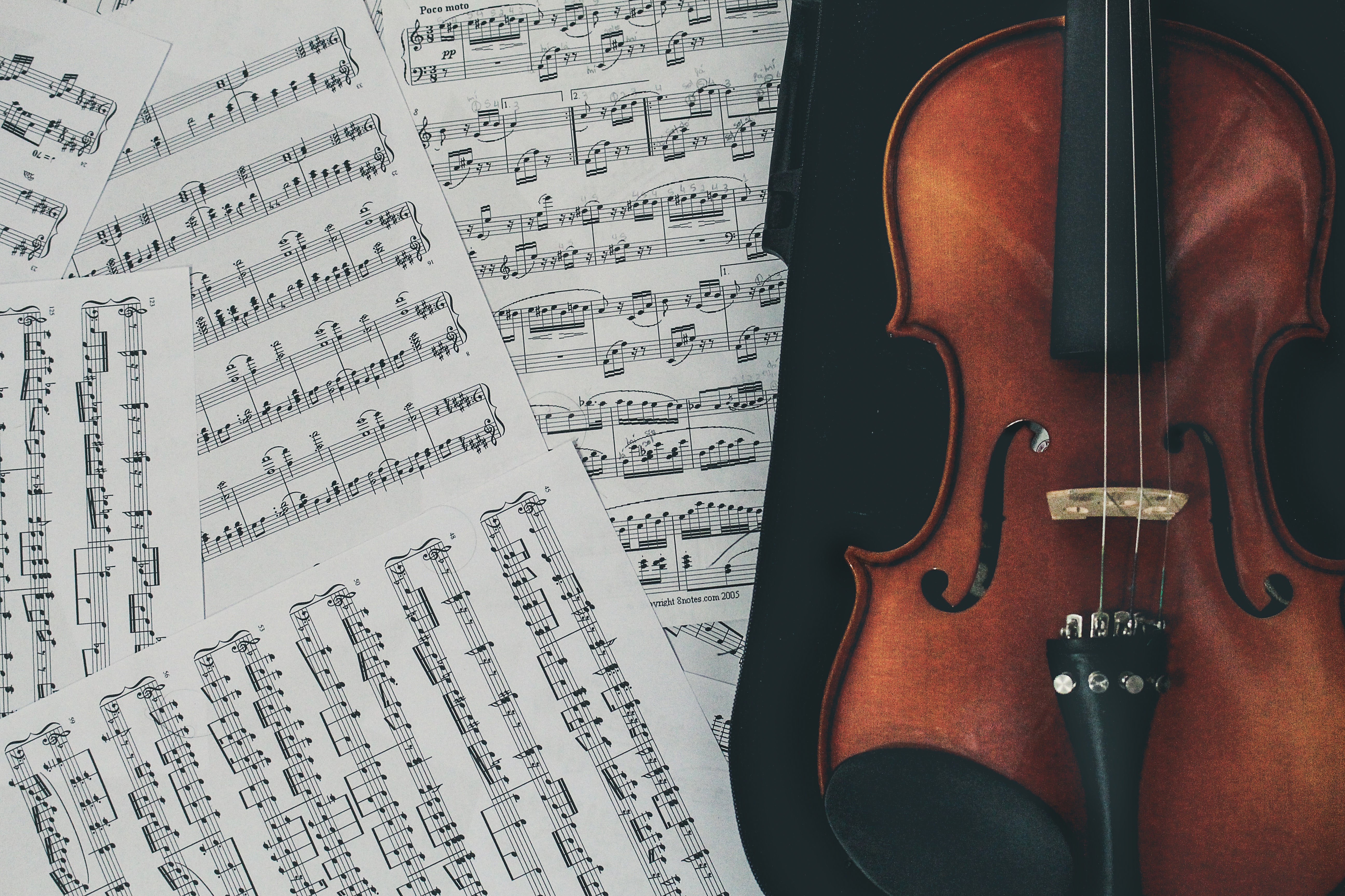 Vieni a coltivare il musicista che c'è in te! SOLO PER RESIDENTI