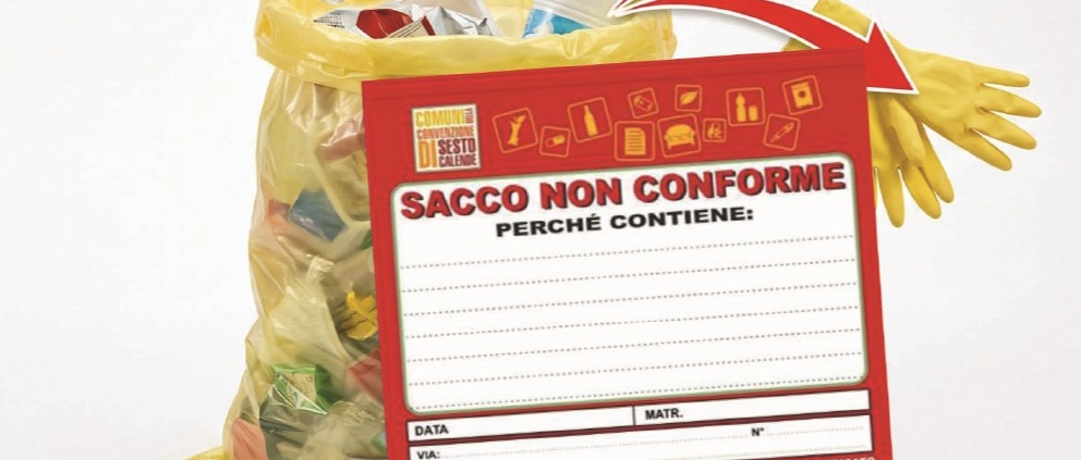 Immagine principale