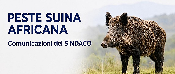 Peste Suina Africana: le comunicazioni del Sindaco