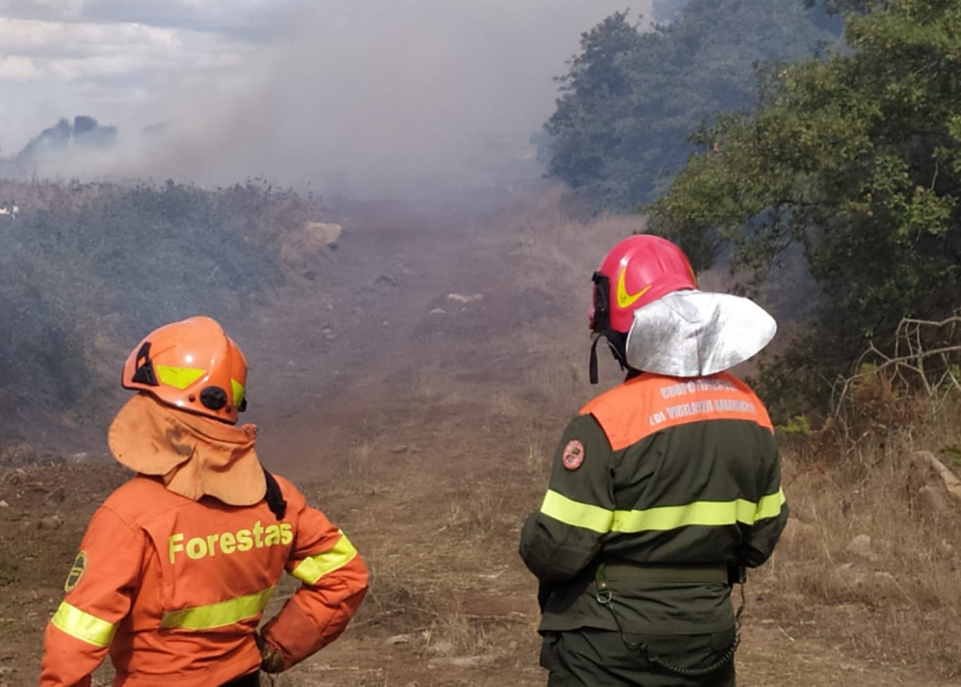 BOLLETTINO DI PREVISIONE DI PERICOLO INCENDIO N. 124 PER MERCOLEDÌ 02/09/2026