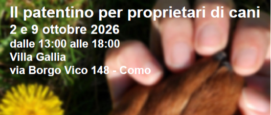 Immagine principale