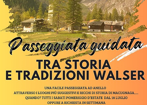 Immagine non trovata
