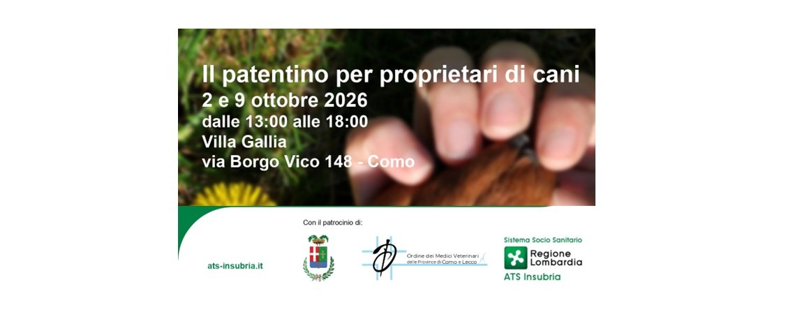 Immagine principale