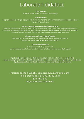 Salvavegia giornata in fattoria lab2