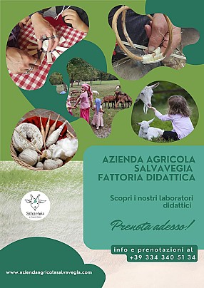 Salvavegia laboratori1