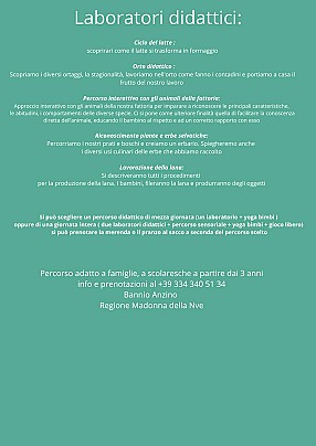 Salvavegia laboratori2