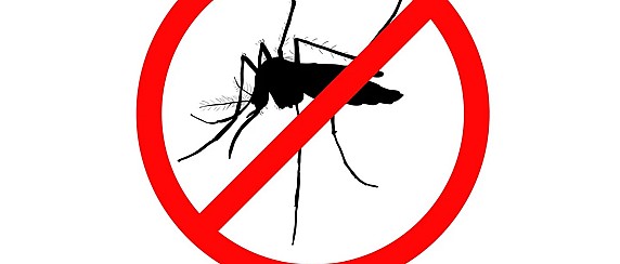 Avviso disinfestazione aree verdi