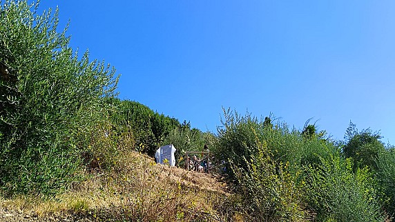 Amore ogni cosa Chiama 5.9 (4)