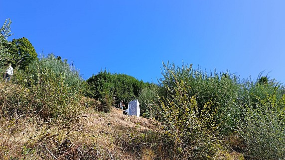 Amore ogni cosa Chiama 5.9 (1)